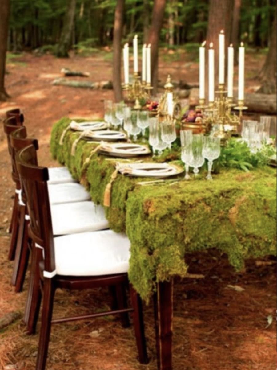 Private celebration catering by Dream Team Catering